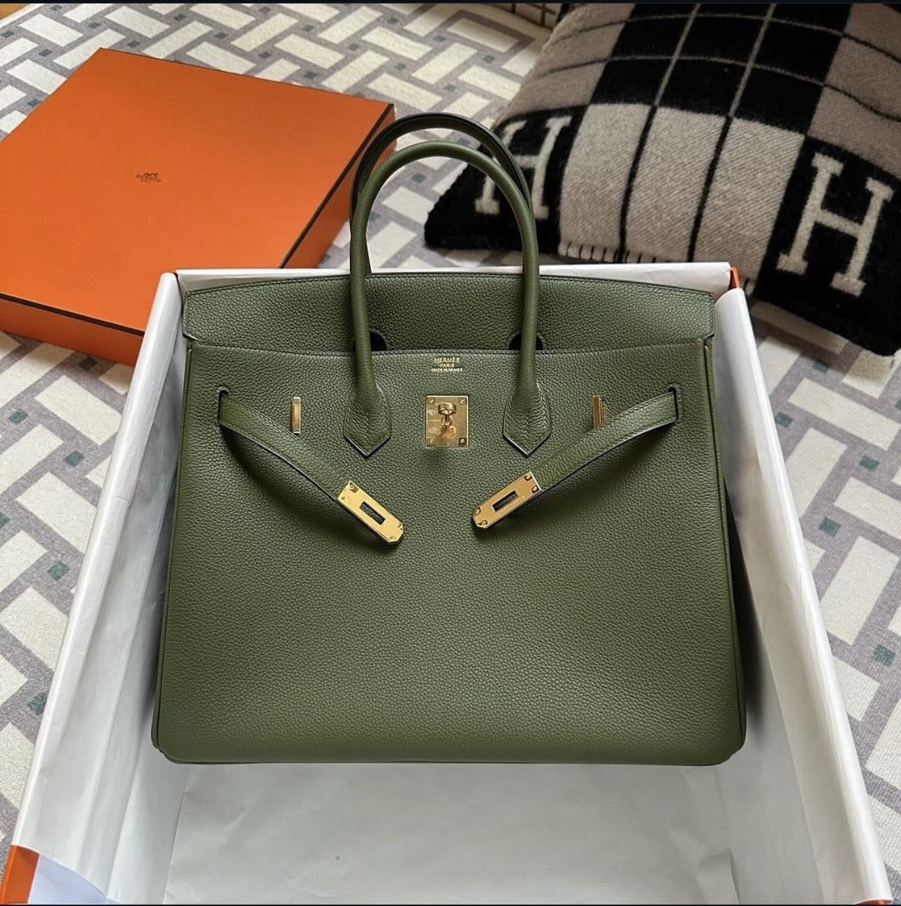 Hermes Birkin 25 Canopy Green Bag with Gold Hardware – Women