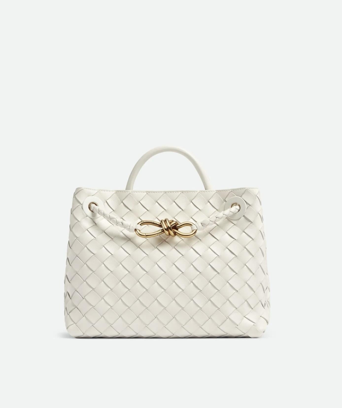 Bottega Veneta Andiamo Top Handle Bag – Women