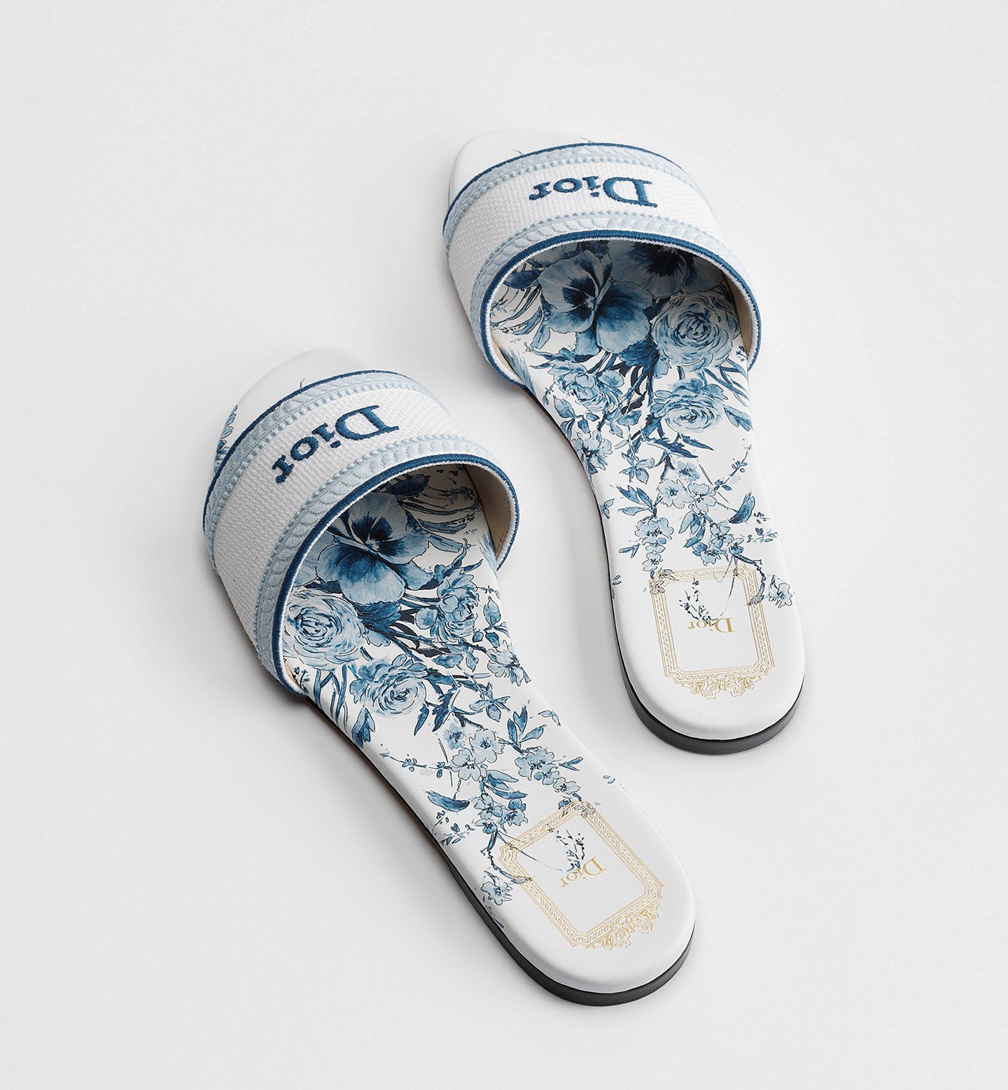 DIOR Dway Slide