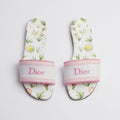 Dior Dway Slide