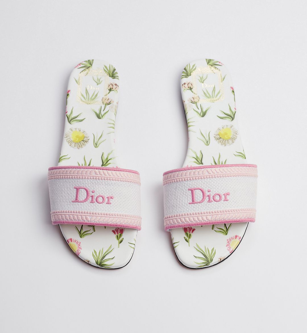 Dior Dway Slide
