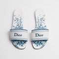DIOR Dway Slide